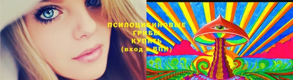 мдпв Майский
