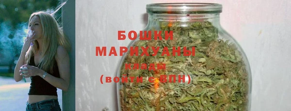 мдпв Майский